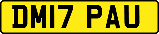 DM17PAU