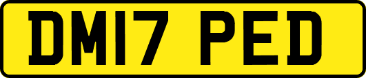 DM17PED