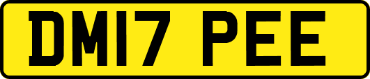 DM17PEE