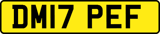DM17PEF