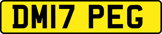 DM17PEG