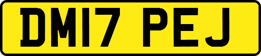 DM17PEJ