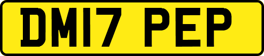DM17PEP