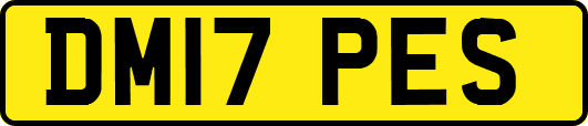 DM17PES