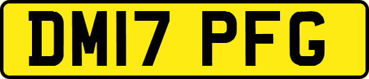 DM17PFG