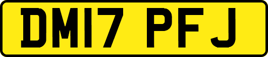 DM17PFJ