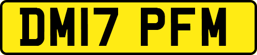 DM17PFM