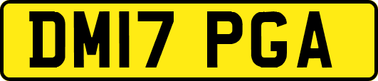 DM17PGA