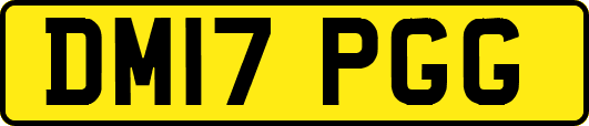 DM17PGG
