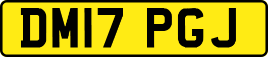 DM17PGJ
