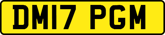 DM17PGM