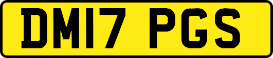 DM17PGS