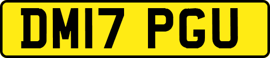 DM17PGU