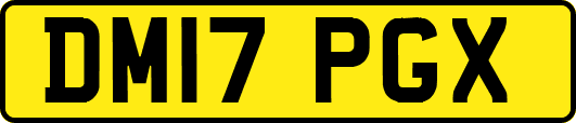 DM17PGX