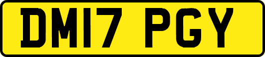 DM17PGY