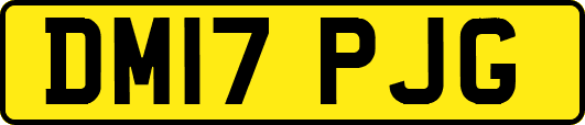 DM17PJG