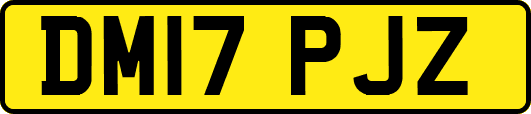 DM17PJZ
