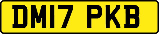 DM17PKB