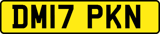 DM17PKN