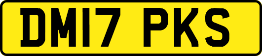 DM17PKS