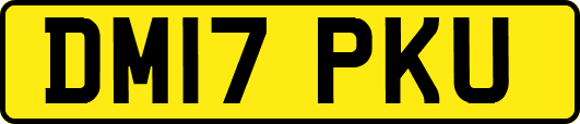 DM17PKU
