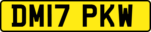 DM17PKW
