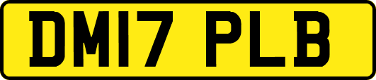 DM17PLB