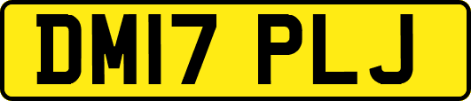 DM17PLJ