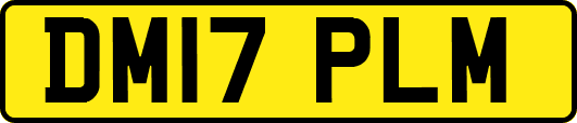 DM17PLM