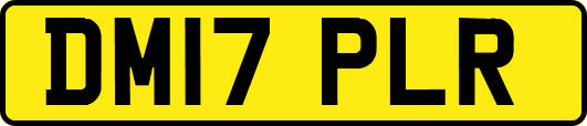 DM17PLR