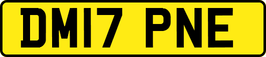 DM17PNE