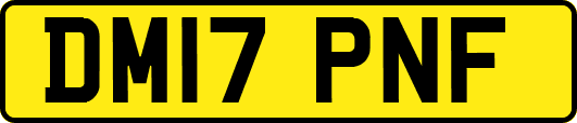 DM17PNF