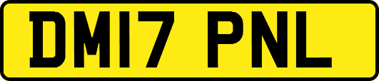 DM17PNL