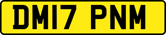 DM17PNM