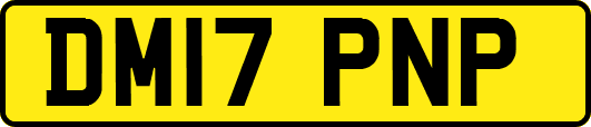 DM17PNP