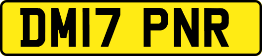 DM17PNR