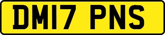 DM17PNS