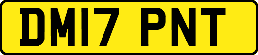 DM17PNT