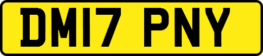 DM17PNY