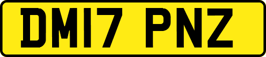 DM17PNZ