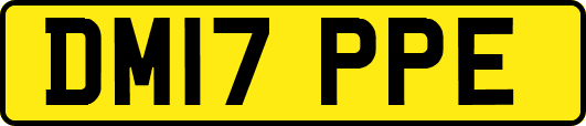 DM17PPE