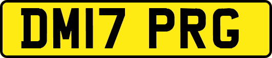 DM17PRG