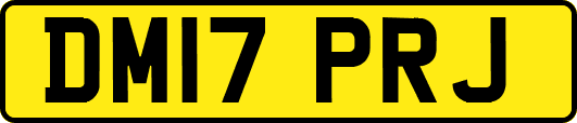 DM17PRJ
