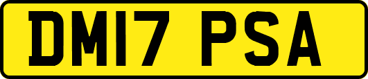 DM17PSA