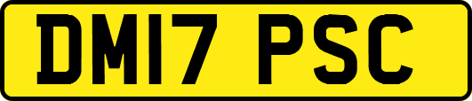 DM17PSC