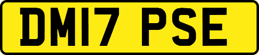 DM17PSE