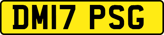 DM17PSG