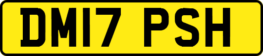 DM17PSH
