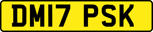 DM17PSK