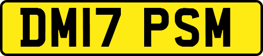 DM17PSM